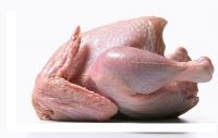 Fresh Grade Halal Whole Frozen Chicken Legs / muscle / Paws for Sale