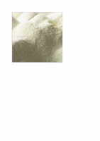 Skimmed Milk Powder