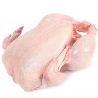 Halal/Non Halal Brazilian Frozen Chicken whole And Chicken Parts