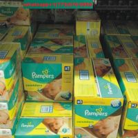 Pampers Baby Dry Diapers All Sizes 228 Count