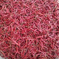 Teja S17 Dried Red Chilli