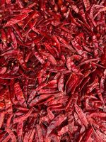 334 / S4 Sannam Dried Red Chilli