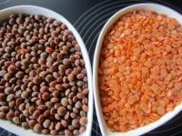 RED LENTILS