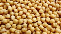 Ethiopian Chickpeas