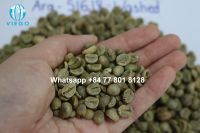 Vietnam Arabica green beans - S16,18 - Grade 1 - Viego Global - Whatsapp +84 77 801 8128