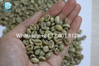 Vietnam Robusta g...