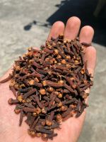 Indonesia Cloves 