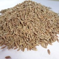 cumin seeds