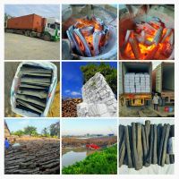 High quality Mangrove Hardwood Charcoal