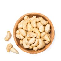 Dried style and raw processing kind VIETNAM CASHEW NUTS IMPORT PRICE 