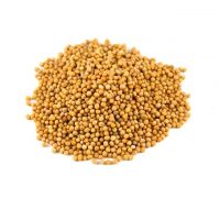 Mustard seeds for sale