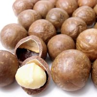 MACADAMIA NUTS IN SHELL