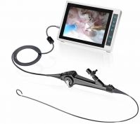 Flexible video ureteroscope