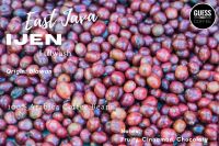 Arabica Coffee Beans - JAVA IJEN