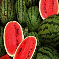 Fresh sweet Water Melons  