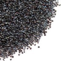 High Quality Blue Poppy Seed