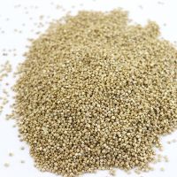 Quinoa Seed 