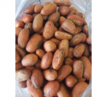 Bitter Kola Nuts