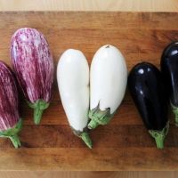 Fresh eggplant