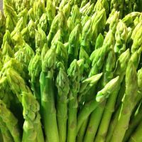 asparagus 