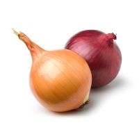Fresh Onion 