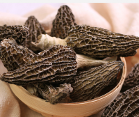 Dried Mushroom