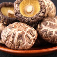 Fresh frozen dried matsutake