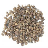 Woodrose Seeds,
