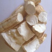 Tapioca Chip/Cassava 