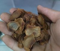 mahogany seeds