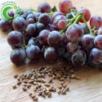 Grape Seeds 