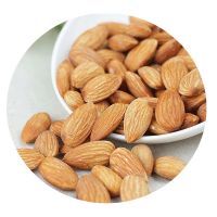 Prunus Dulcis seeds/Almond seeds/tonsil seeds 