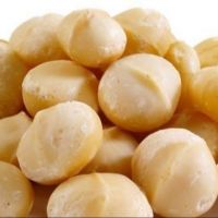 Raw Macadamia Nut (Shell and Shell off)
