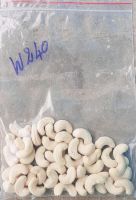 Cashew Nut/Cashew Nut Kernels/W240/W320!
