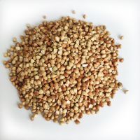 Asian /USA/ EU Quality Hulled Buckwheat / Roasted Buckwheat