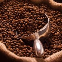 Robusta Coffee/Arabica Green Coffee Beans 