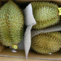 Fresh Durian For Sale 