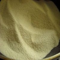 Durum Wheat Semolina Flour / Durum Semolina Flour