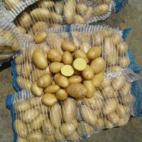 Fresh Potatoes , Spunta , Rozetta , Kara , Fresh crop for sale Quality Export