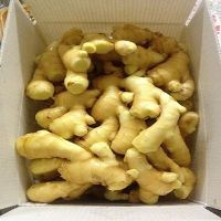 Dried Ginger/Fresh Ginger