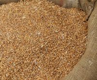 Alfalfa Seeds,Natural Alfalfa Seeds,Lucerne Seeds For Sale 