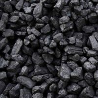 Steam Coal & Coking Coal Charcoal