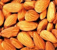 almonds nuts/Apricot Kernels/Pistachio Nuts