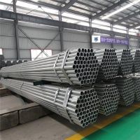 Q195/235/345 Competitive Pre-Galvanized Steel Pipe galvanized steel scaffolding pipe for construction building materials
