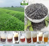 China Green Tea 41022