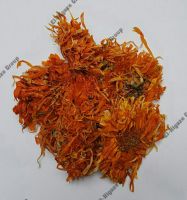 Calendula