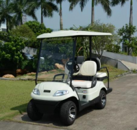 2 passenger cute golf cart with high quality ev conversion kit for car