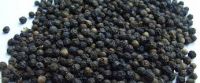Black Pepper- Uziza seeds (Piper guineense)
