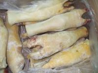 Frozen halal cow feet and cow heads