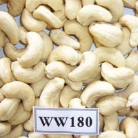 Cashew nut for wholesale
